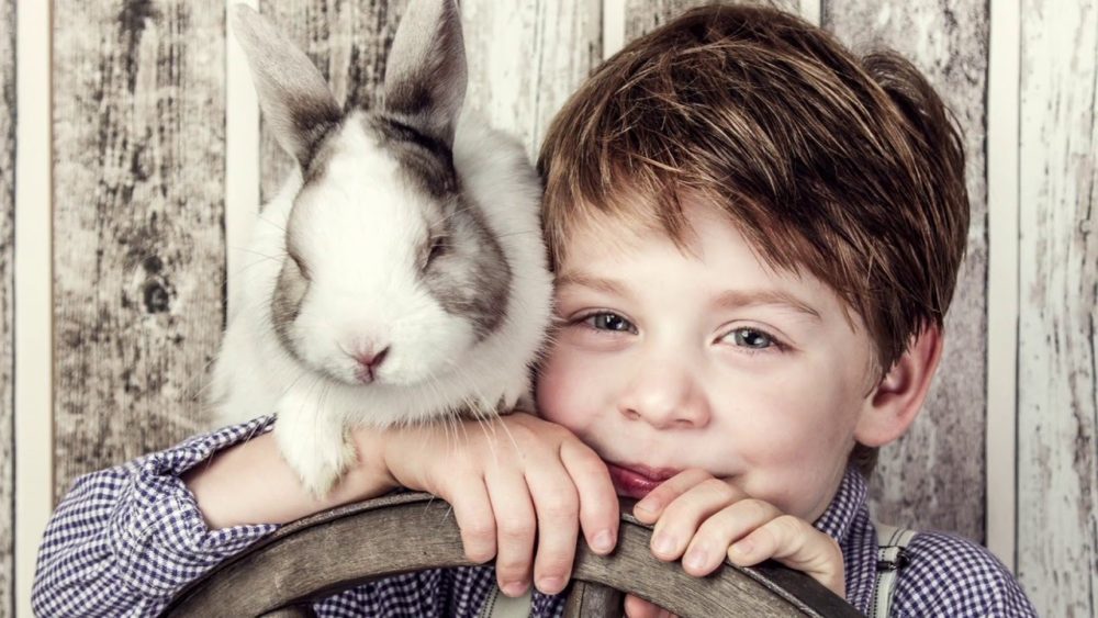 Кролик и мальчик