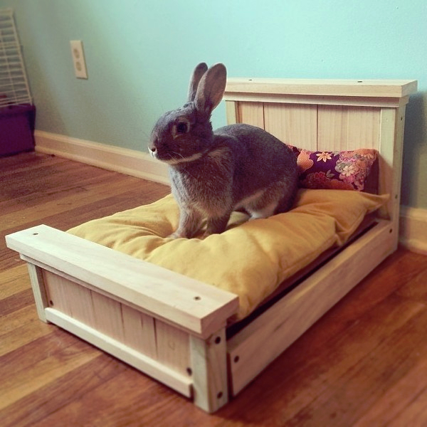 Кролик  кровати