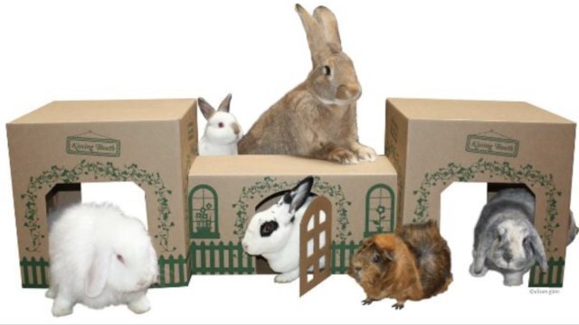 Игрушки для кролика из коробок