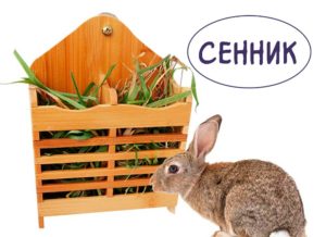 Сееник для кроликов https://pushistiymir.ru/