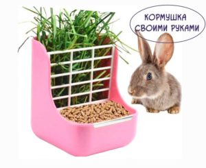 Кормушка-для-кролика-своими-руками https://pushistiymir.ru/
