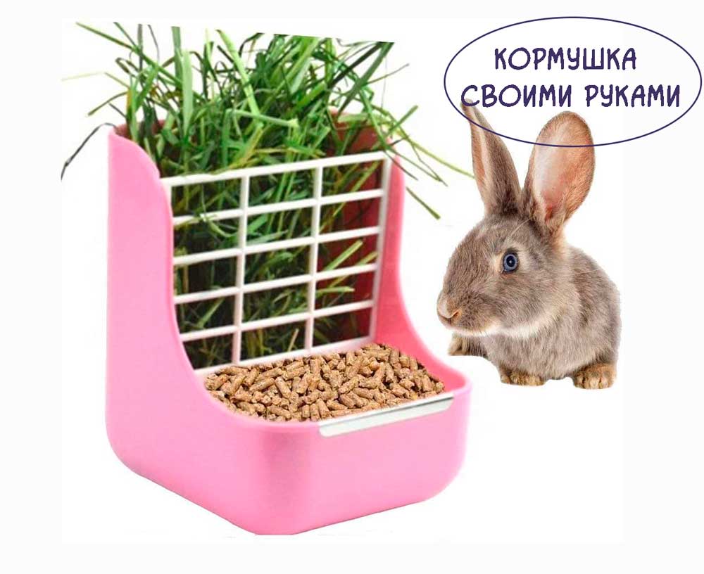 Кормушка-для-кролика-своими-руками https://pushistiymir.ru/