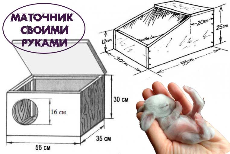 Маточник для кроликов своими руками https://pushistiymir.ru