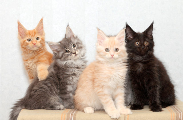 9babcd0991877b5c71f9933f77a71782